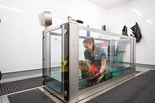 Our Hydrotherapy machine