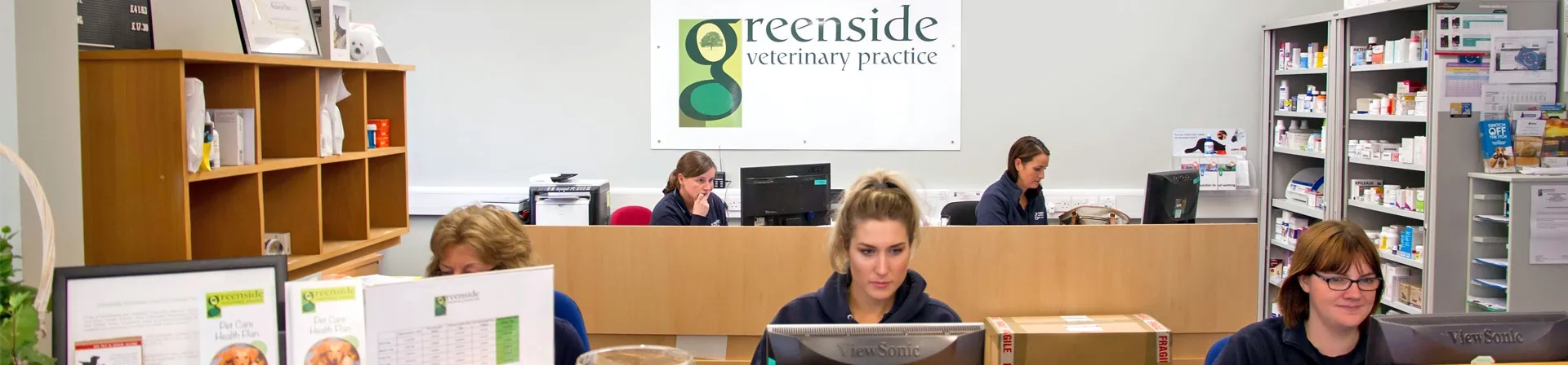 About Greenside Vets in St Boswells and in Jedburgh