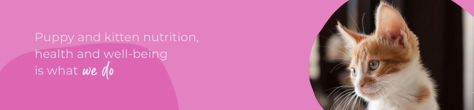 Start of Life for Your Puppy or Kitten