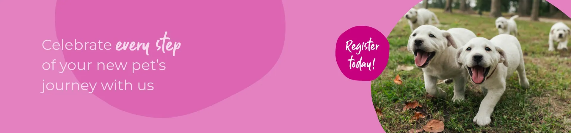 Start of Life for Your Puppy or Kitten