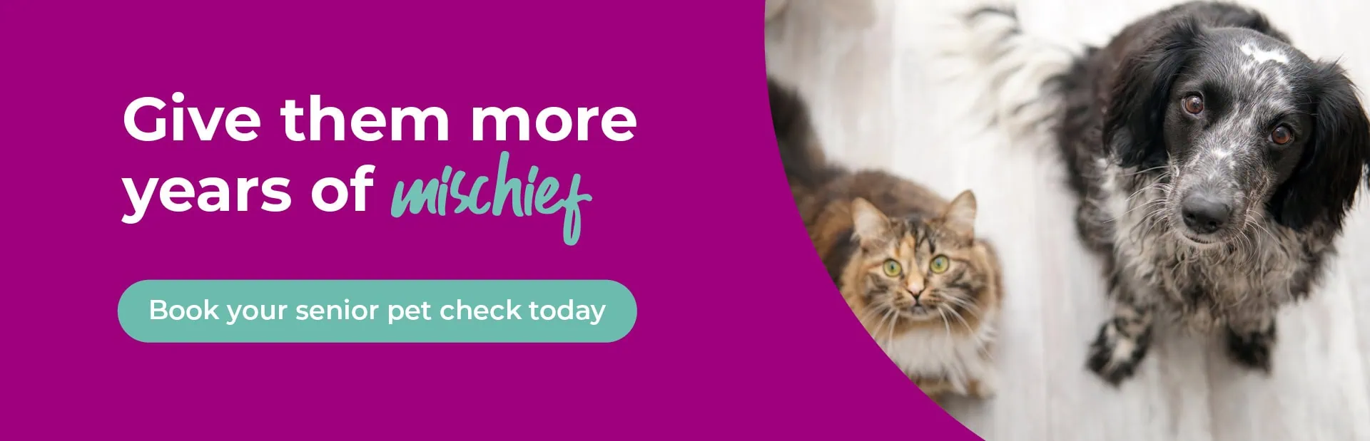 Vets in St Boswells | Vets in Jedburgh | Scottish Borders Farm Animal Vets