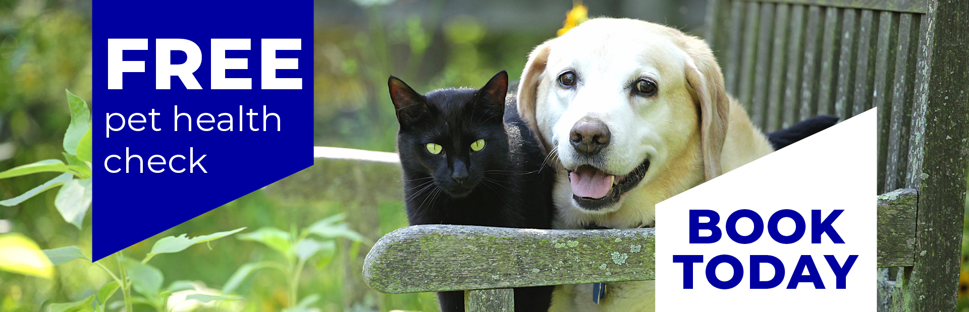 Vets in St Boswells Vets in Jedburgh Scotish Borders Farm Animal Vets