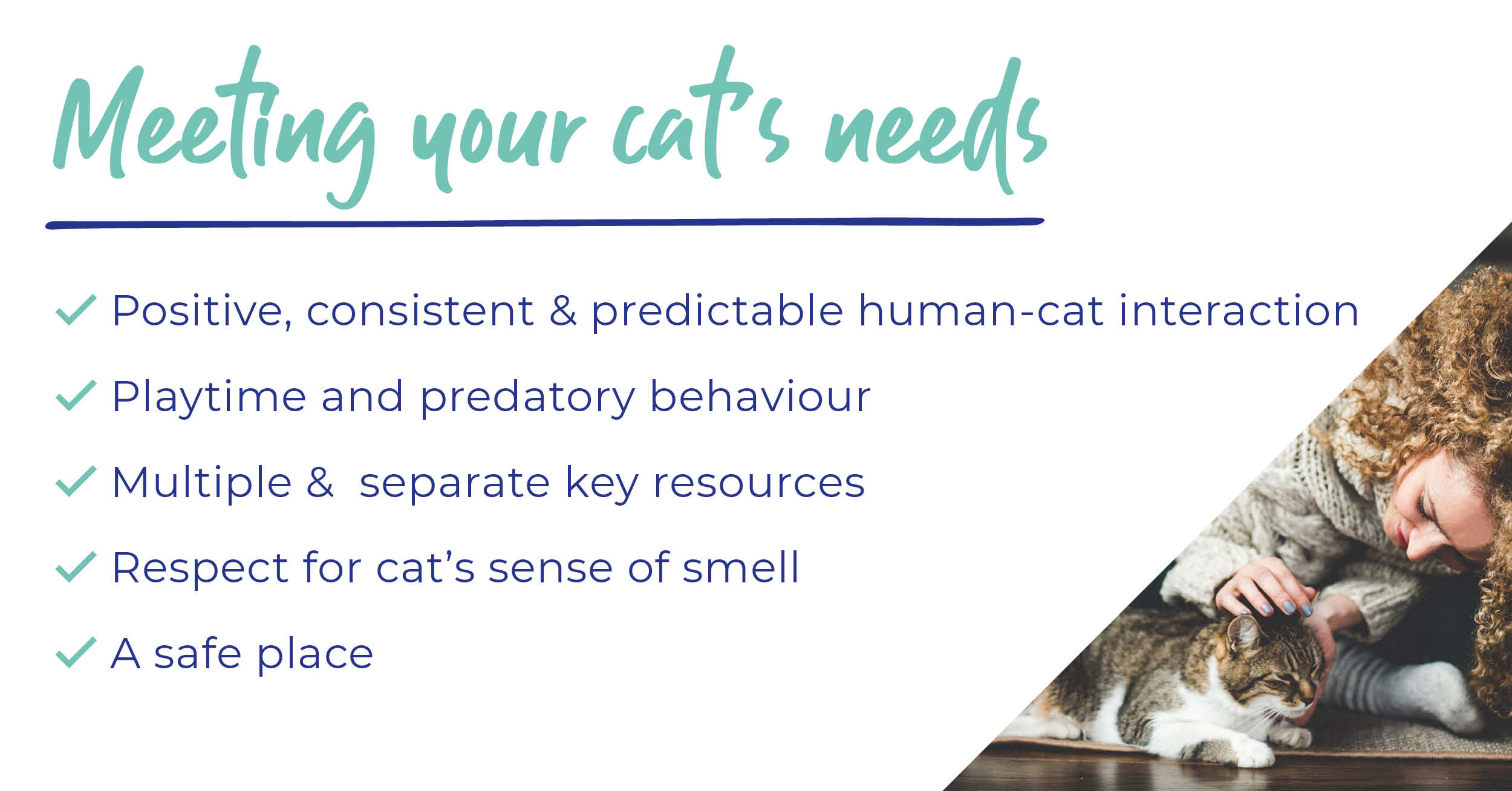 Caring for your cat - An owner's guide