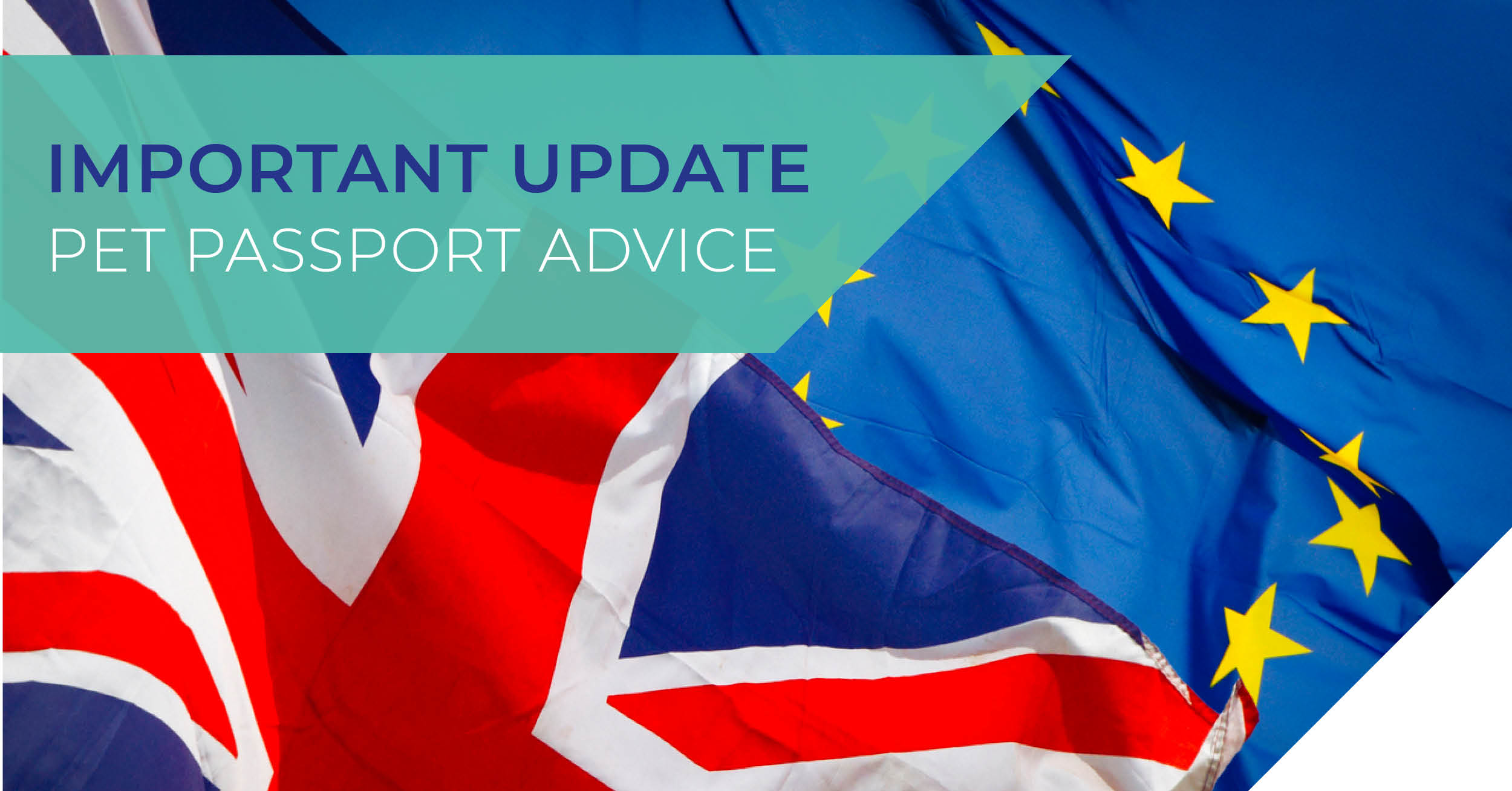 Pet Travel to Europe from 1 January 2021