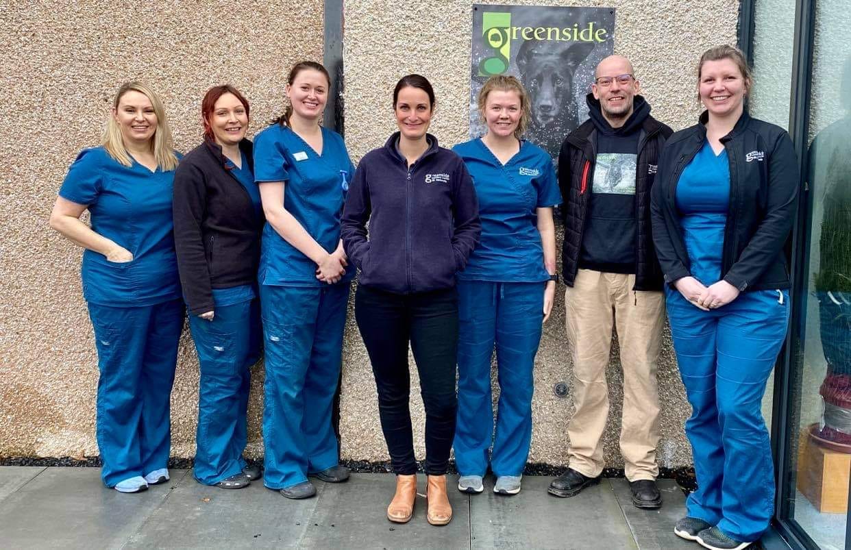 Focus on....The Regenerative Medicine Team