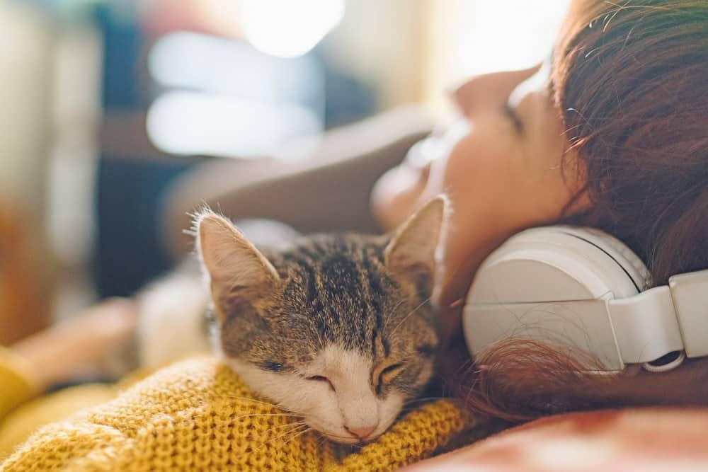 How pets contribute to our Mental Wellbeing