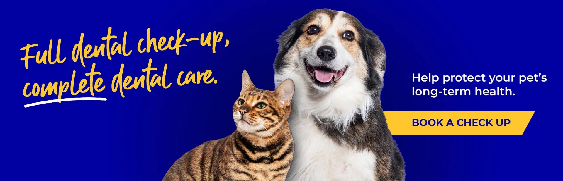Expert Vets in St Boswells and Jedburgh