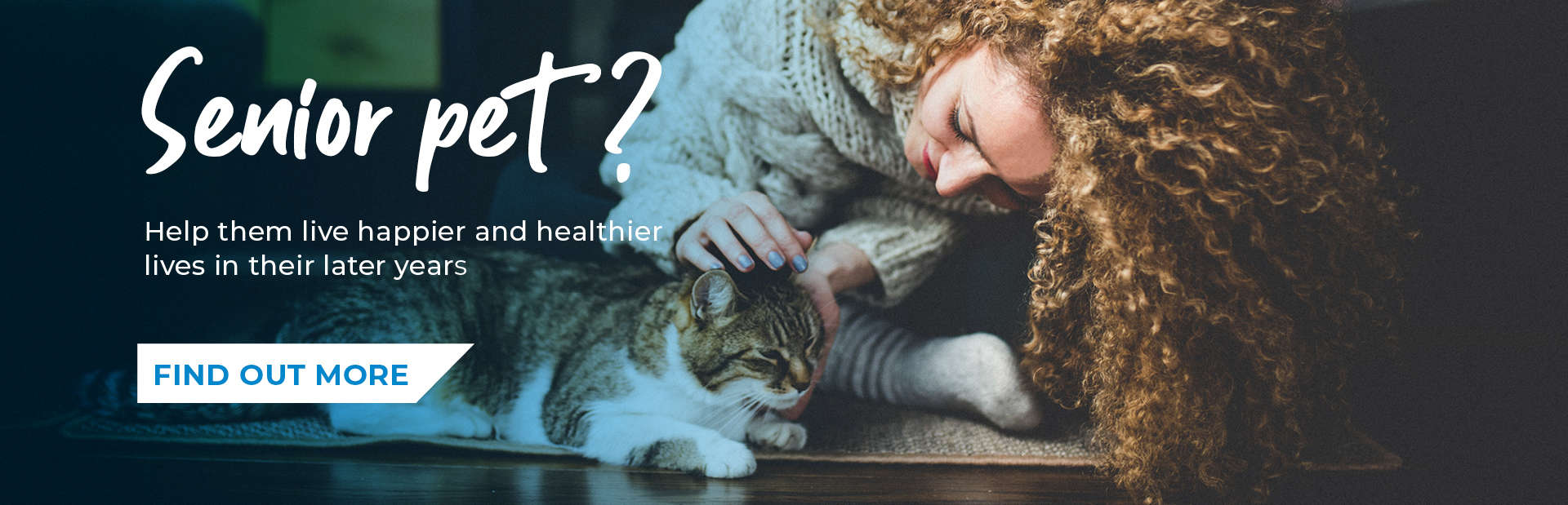 Vets in St Boswells Vets in Jedburgh Scotish Borders Farm Animal Vets