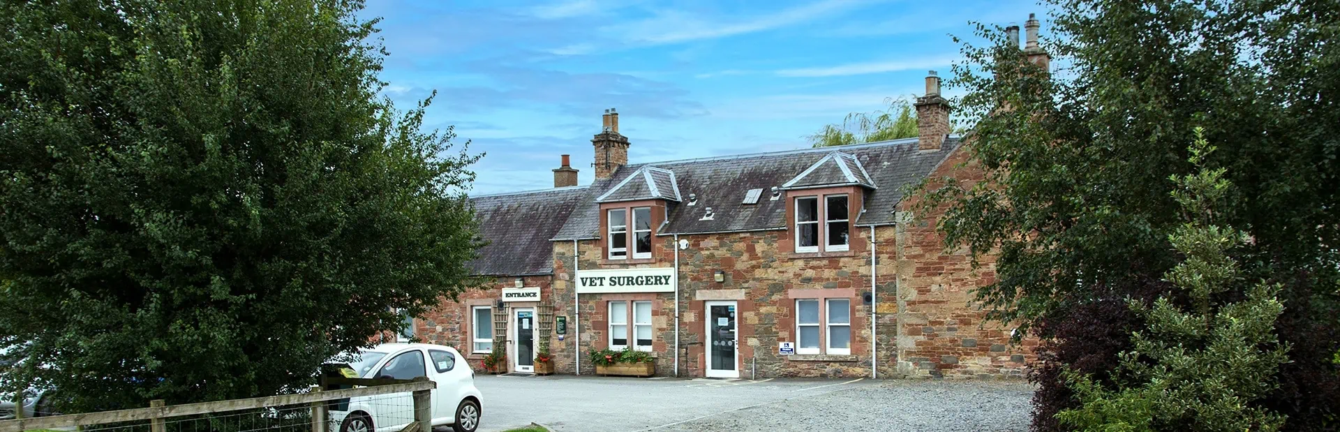 Vets in St Boswells | Vets in Jedburgh | Scottish Borders Farm Animal Vets